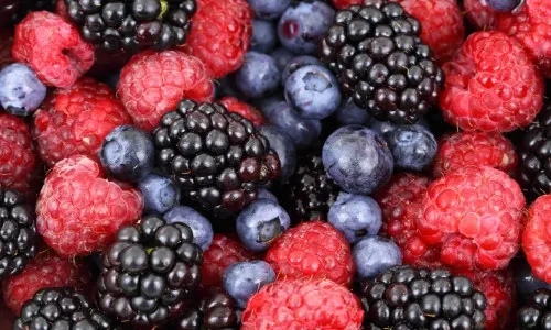 fruits berries (3)