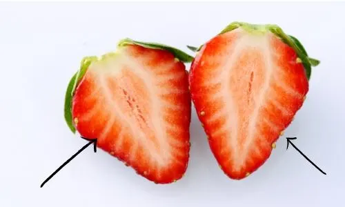 strawberry fruit veggie (2)