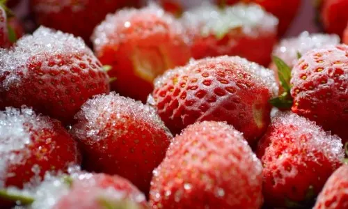 how long strawberries last (4)
