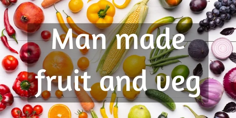 man made fruit veg
