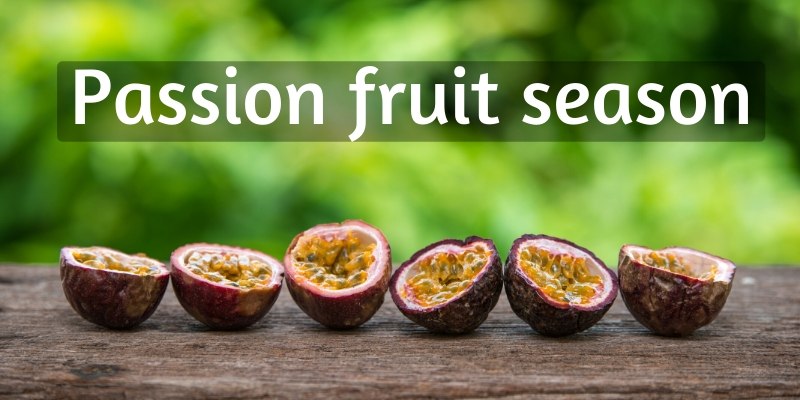 passion fruit season (2)