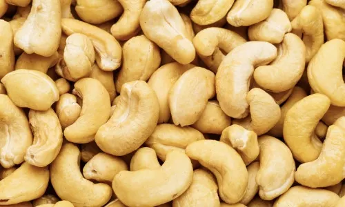 cashew fruit nut (2)