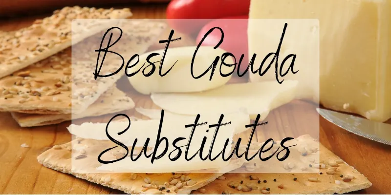 gouda substitutes