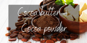 Read more about the article Cocoa Butter And Cocoa Powder – Understanding Cocoa Beans