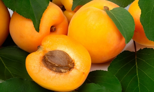 peach nectarine apricot (3)