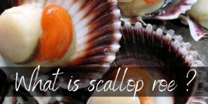 Read more about the article What Is Scallop Roe, And What Can You Do With It ?