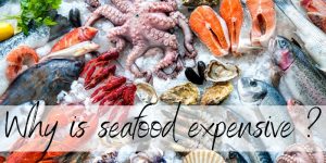 Read more about the article 3 Reasons Seafood Is So Expensive