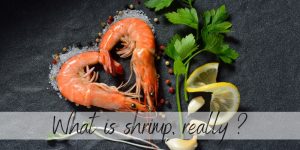 Read more about the article Are Shrimp Fish, Seafood, Or Shellfish ?
