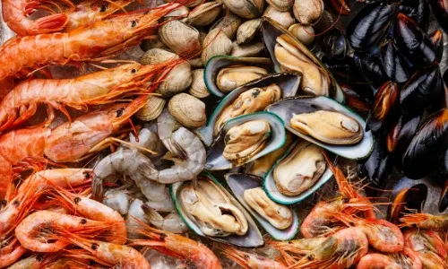 shrimp mussel oyster