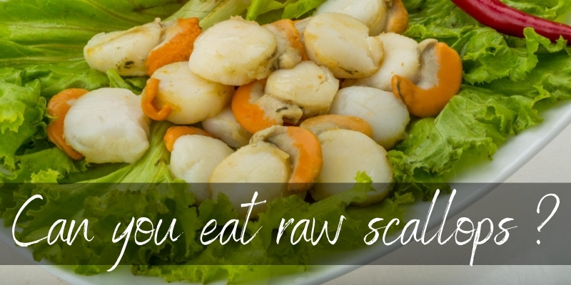 Can You Eat Raw Scallops ? Here's What All The Fuss Is About - Foodiosity