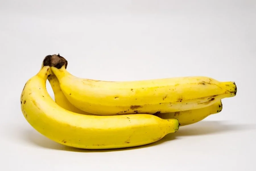 cavendish banana