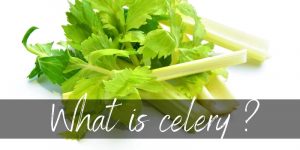 Read more about the article So Is Celery A Fruit Or Vegetable ? Here’s What We Found Out