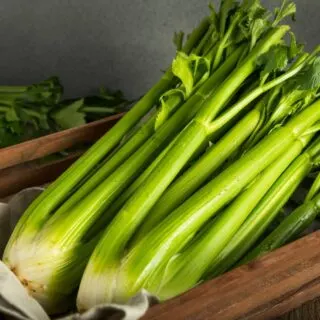celery fruit or vegetable