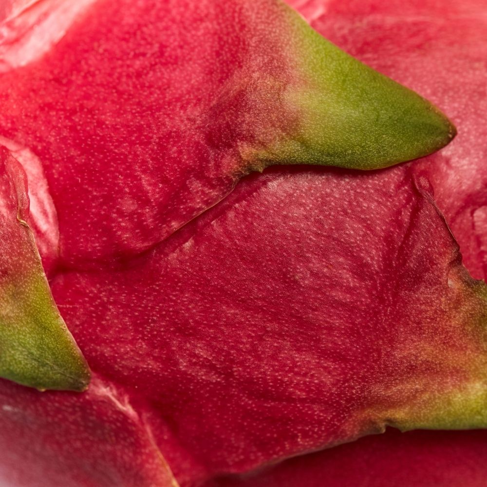 Can You Eat Dragon Fruit Skin ? Here's What We Found Out