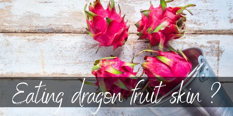 dragon fruit skin