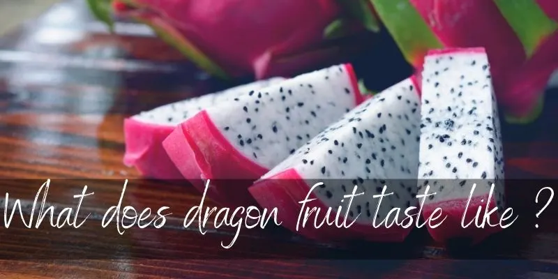 dragon fruit taste