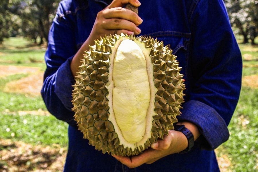 durian demand