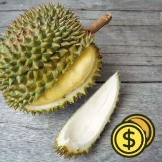 durian expensive