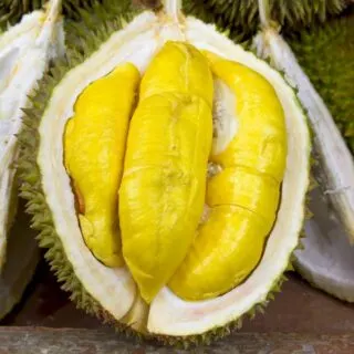 durian taste