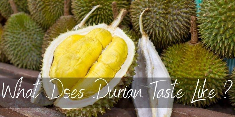 durian taste