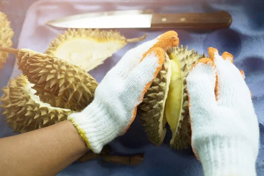 durian