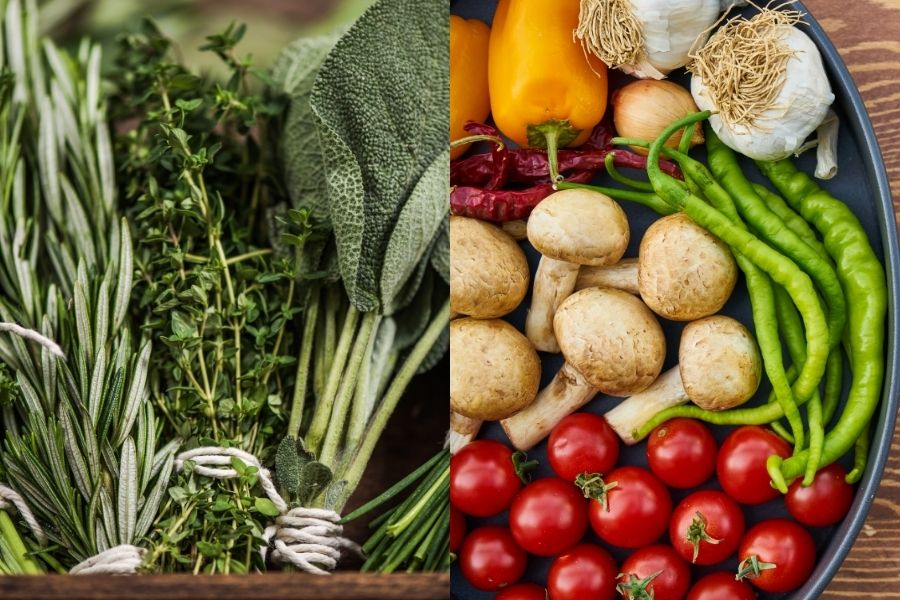 herbs vs vegetables