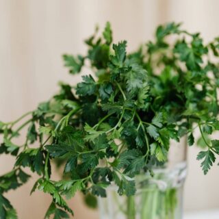 how long parsley lasts