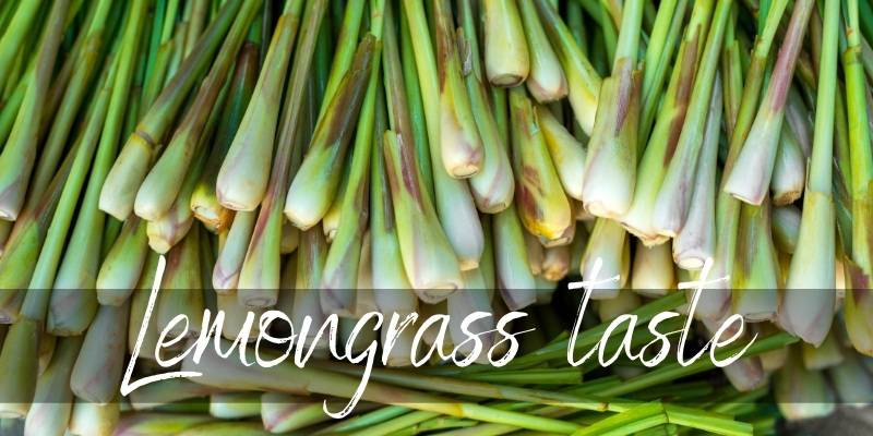 lemongrass taste
