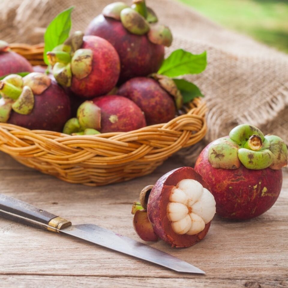 Why Is Mangosteen So Expensive ? What Is The Average Price ? Foodiosity