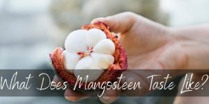 Read more about the article What Does Mangosteen Taste Like ? Here’s What We Found