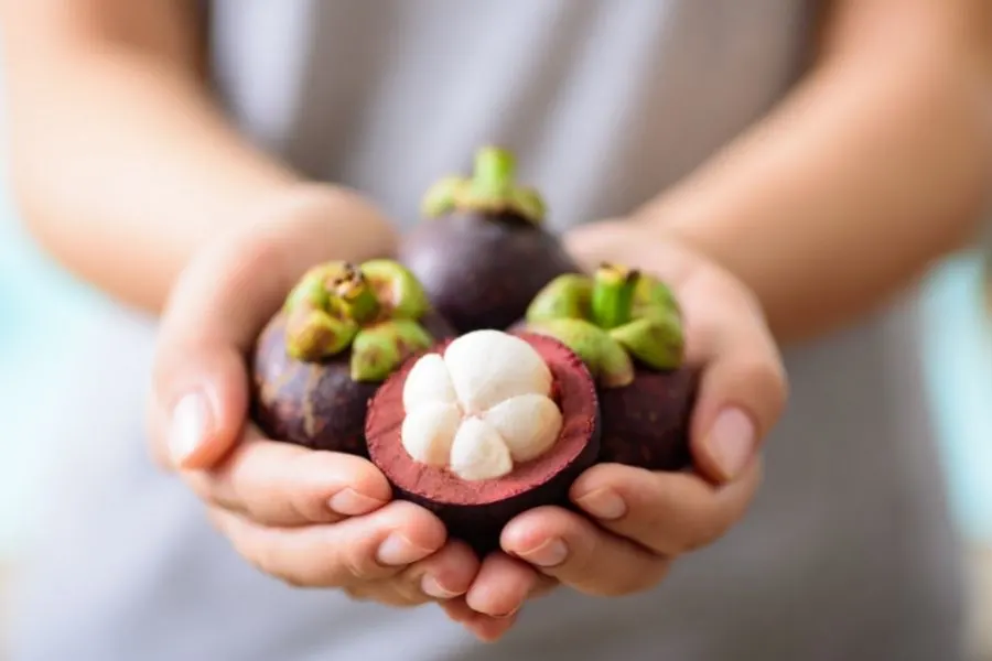 mangosteen