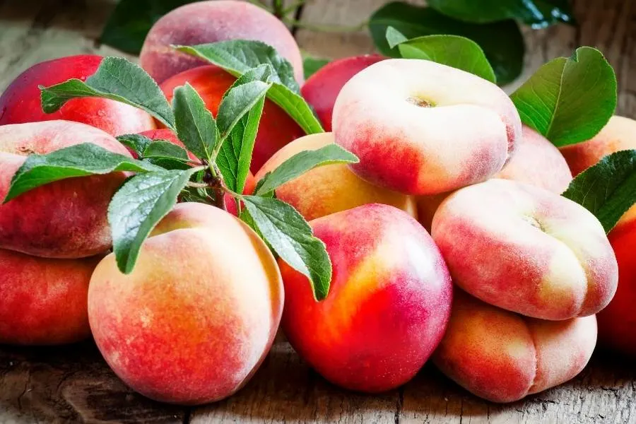 nectarine peaches