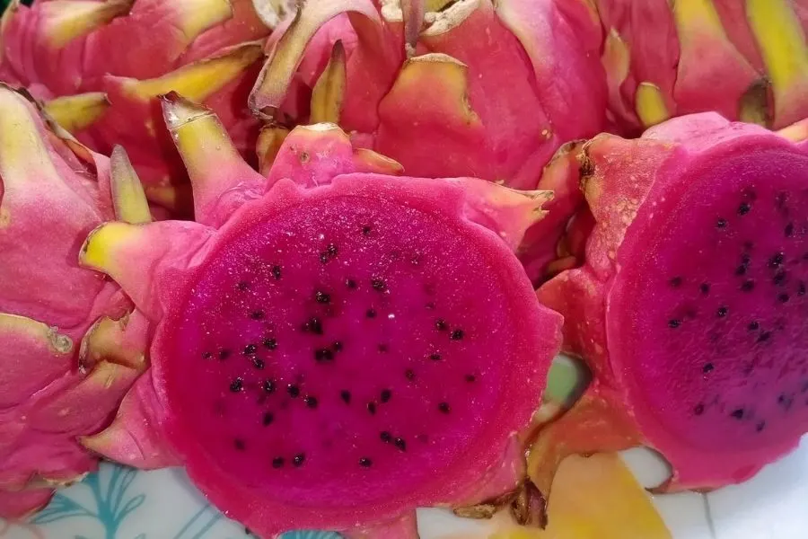 red flash dragon fruit