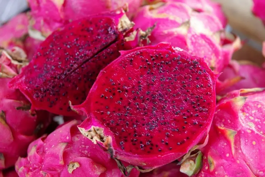 red flash dragon fruit