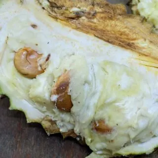 rotten durian