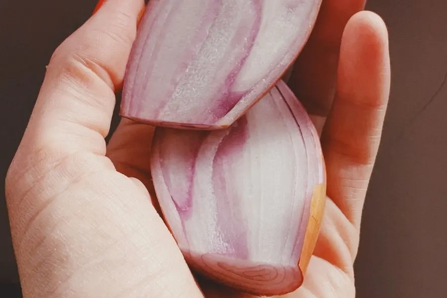 shallot bulb