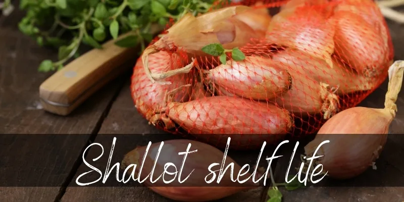 shallot last (1)