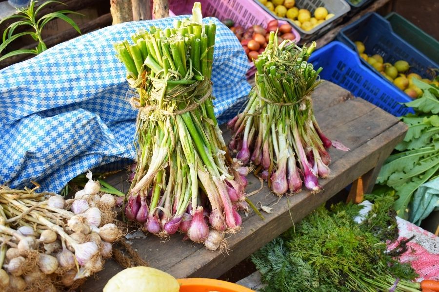 when to pick shallots