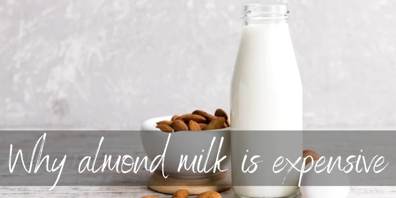 almond milk expensive (1)