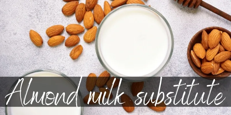Almond Milk Substitutes