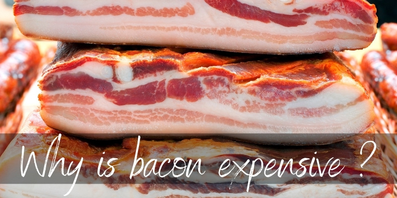 bacon expensive