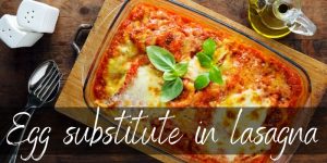 Read more about the article Can You Substitute Egg In Lasagna? Yes and Here’s How!