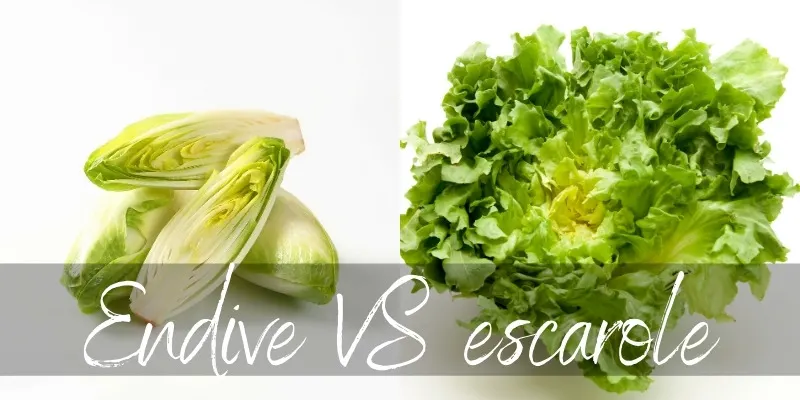 endive escarole