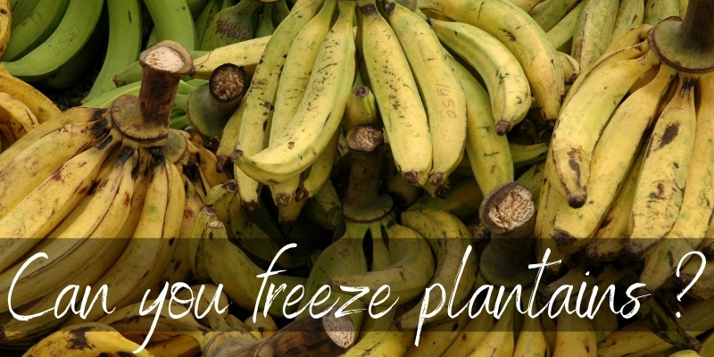 freeze plantain