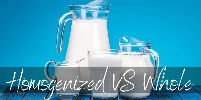 homogenized whole milk