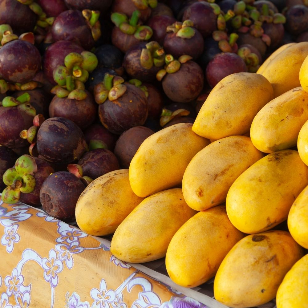 Mangosteen VS Mango 4 Differences (Are They Related?) Foodiosity