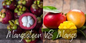 Read more about the article Mangosteen VS Mango – 4 Differences Between These Amazing Fruits