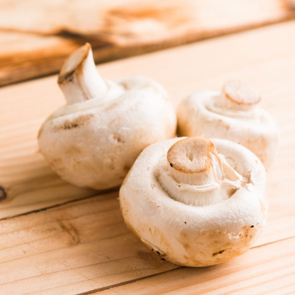 What Do Mushrooms Taste Like ? Common And Types Foodiosity