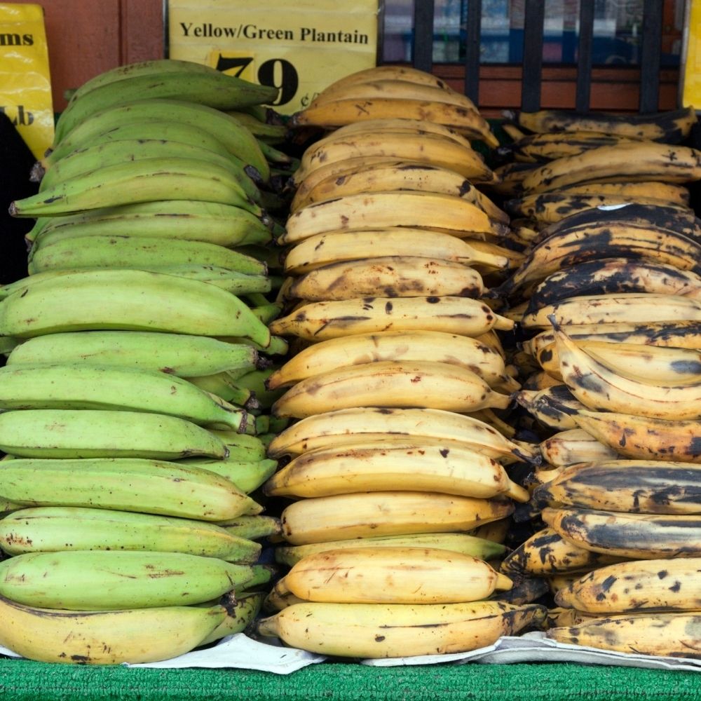 Can You Freeze Plantains Check Here How To Store Them Properly Foodiosity