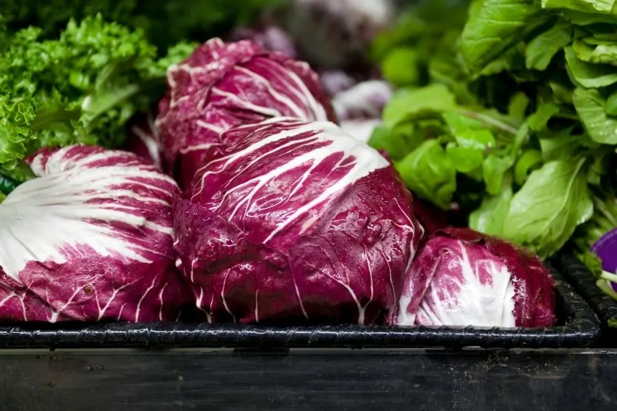 radicchio